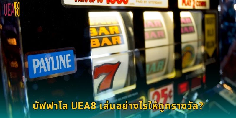 บัฟฟาโล UEA8 เล่นอย่างไรให้ถูกรางวัล?