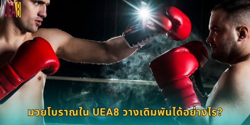 มวยโบราณใน UEA8 วางเดิมพันได้อย่างไร?